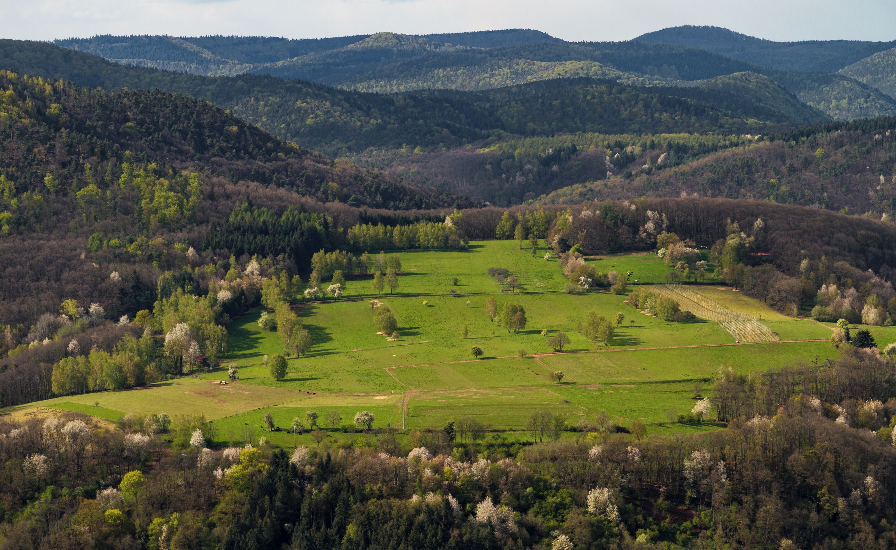 A valley with green fields, scattered trees, and distant hills.