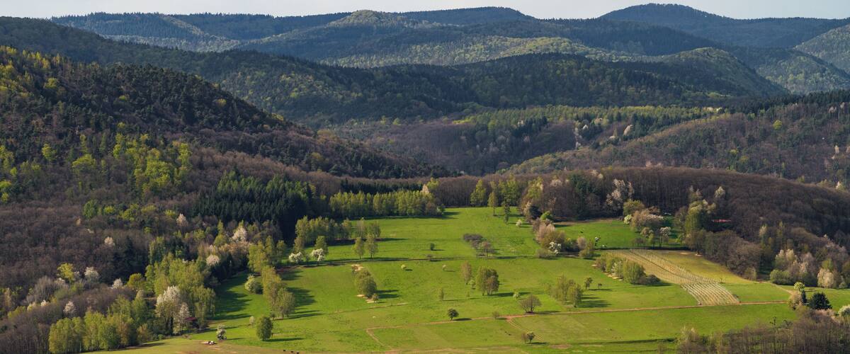 A valley with green fields, scattered trees, and distant hills.