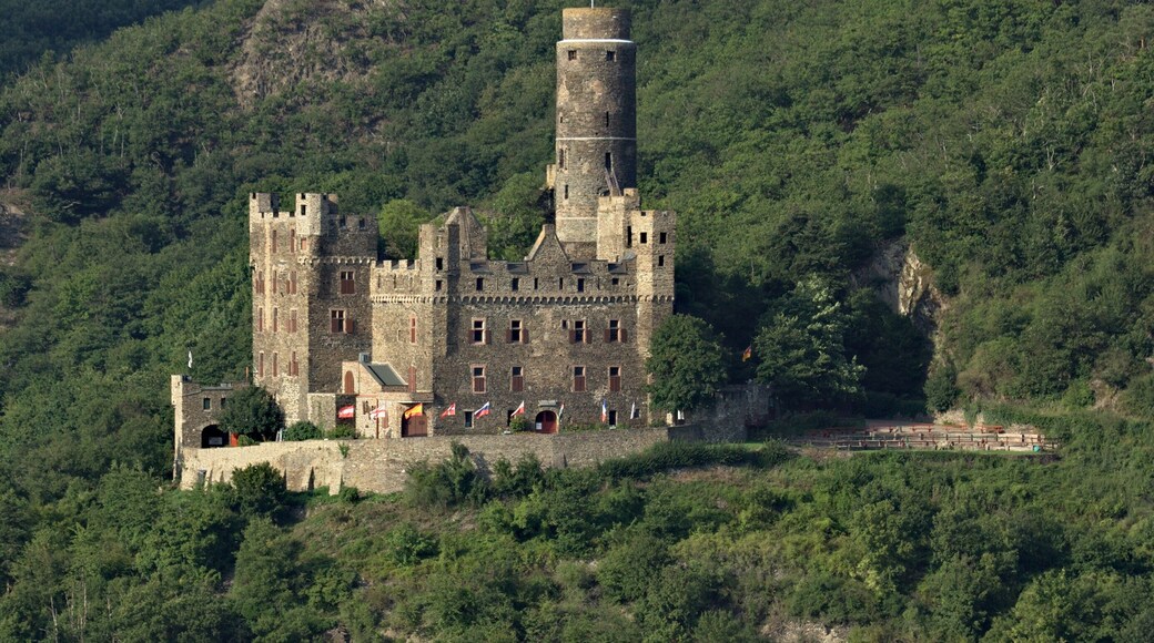 Maus castle, Rhine, Germany.