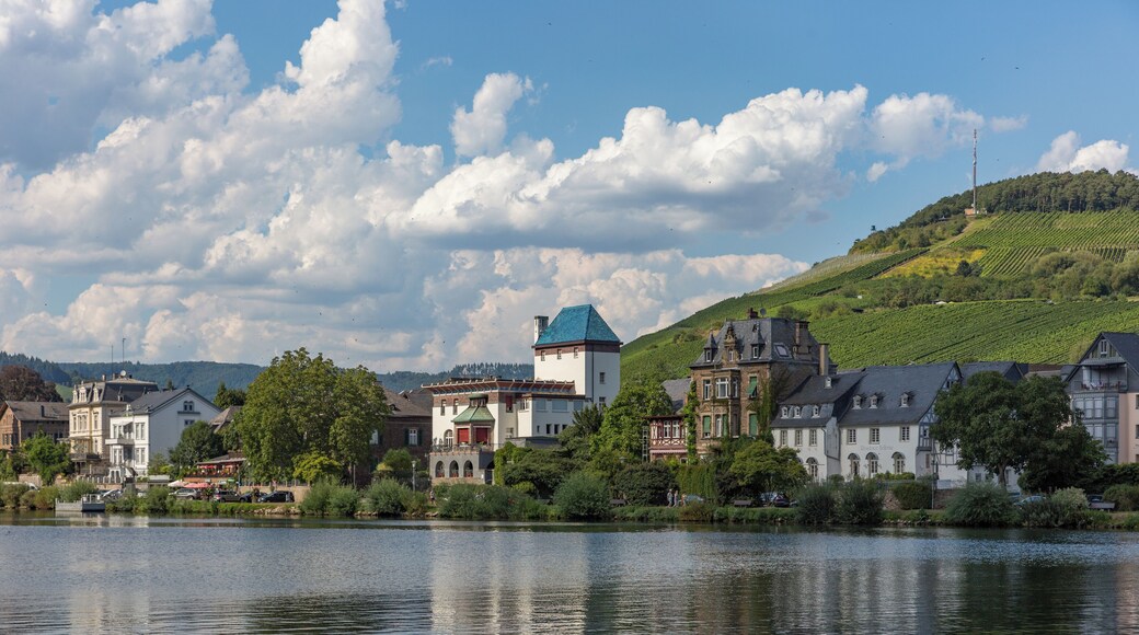 Cultural heritage monuments in Traben-Trarbach