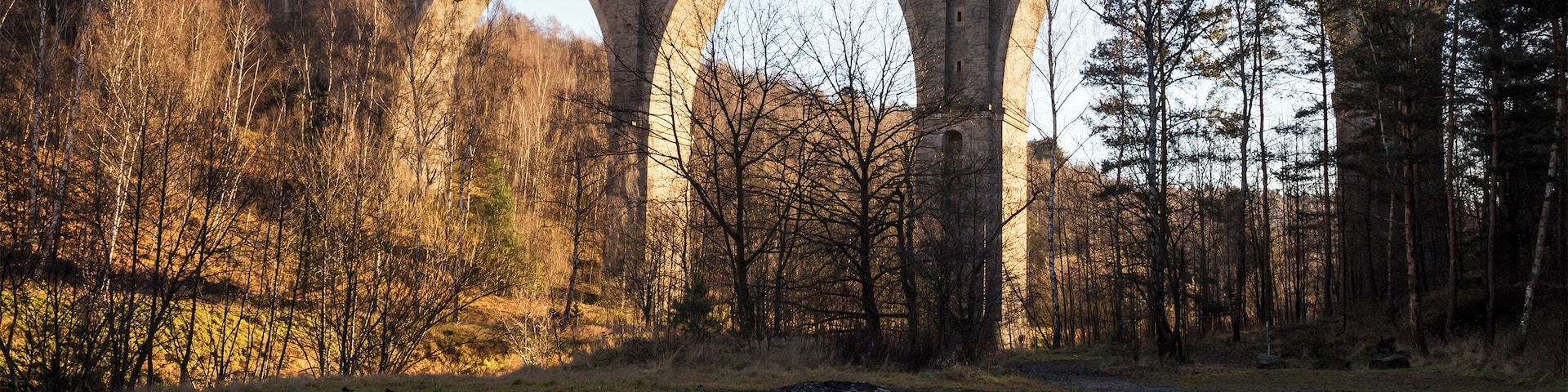 Railway bridge Muldenhütten (Saxony)
