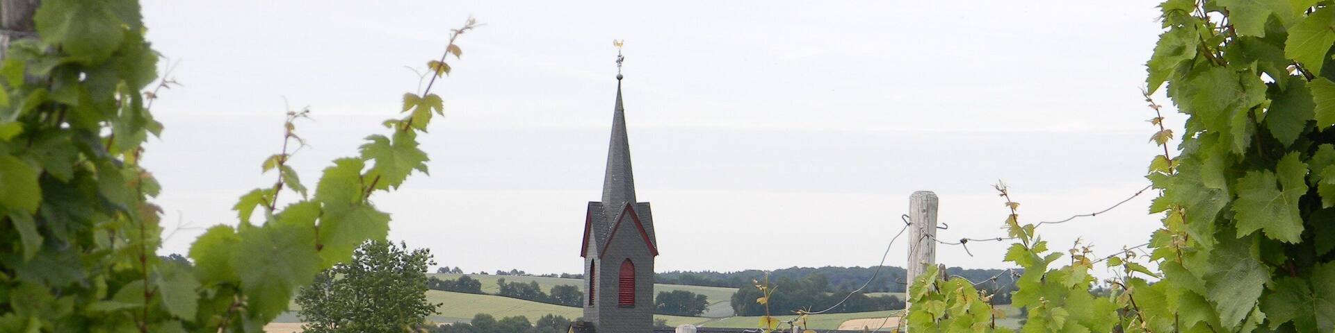 Church among vines