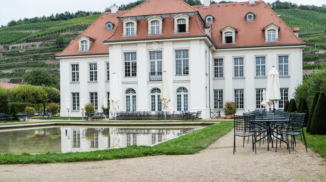 Schloss Wackerbarth in Radebeul