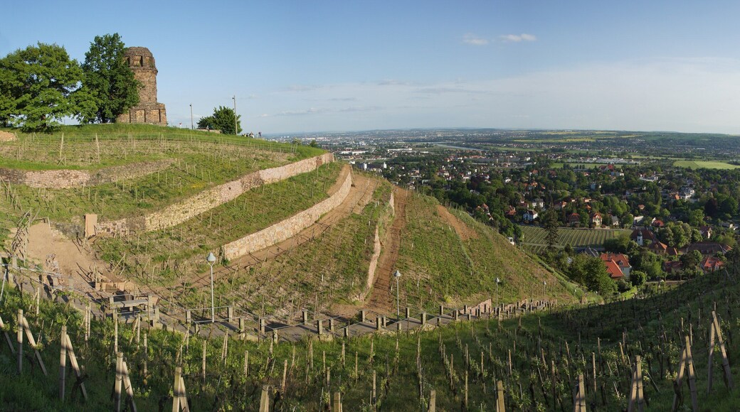 Blick auf Radebeul und Bismarckturm