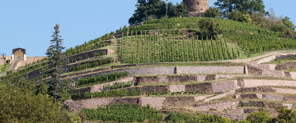 Bismarckturm Radebeul