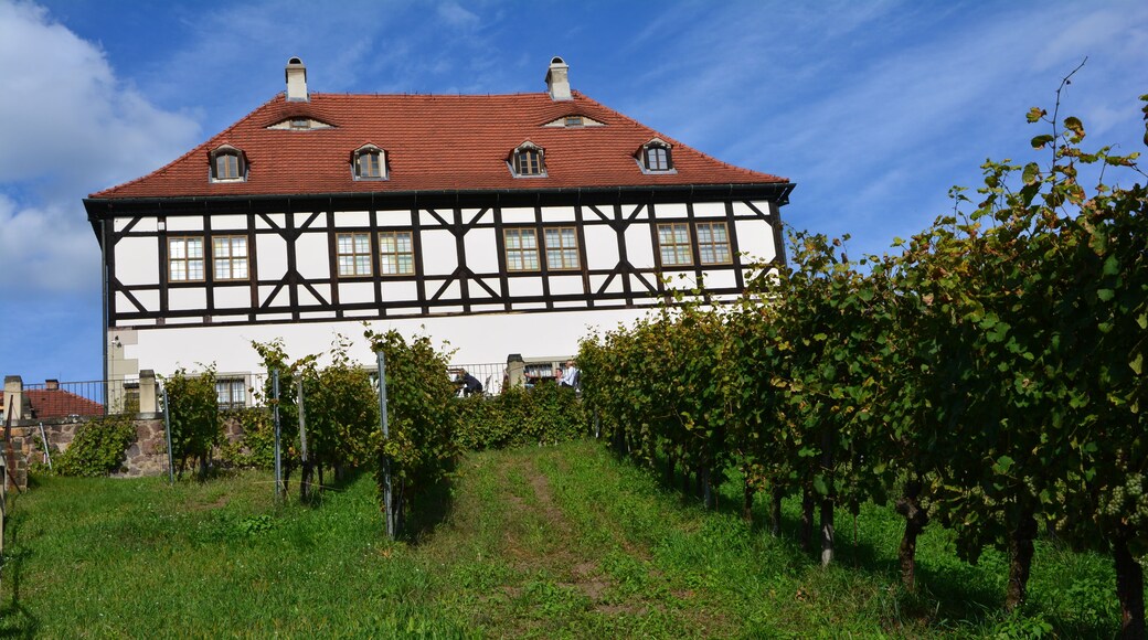 Radebeul Hoflรถรnitz, Lust- und Berghaus von Hoflรถรnitz - Stรคdtisches Weingut in Radebeul