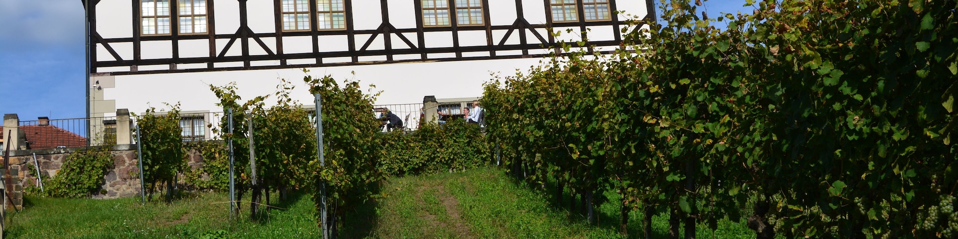 Radebeul HoflöĂnitz, Lust- und Berghaus von HoflöĂnitz - StĂ€dtisches Weingut in Radebeul