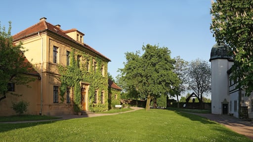 Weingut Hoflößnitz