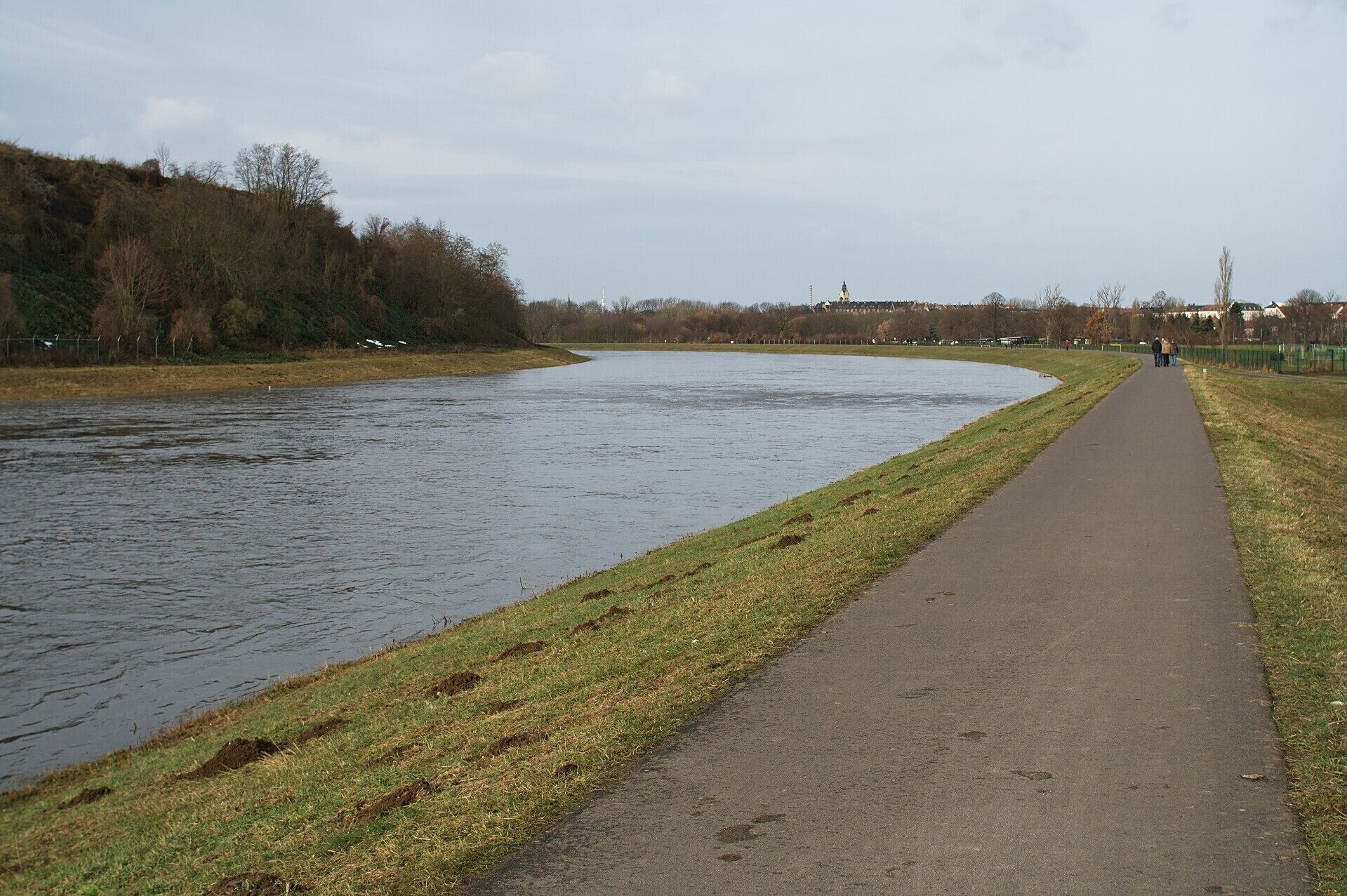 Luppe mit erhöhtem Pegelstand kurz vor dem Auensee