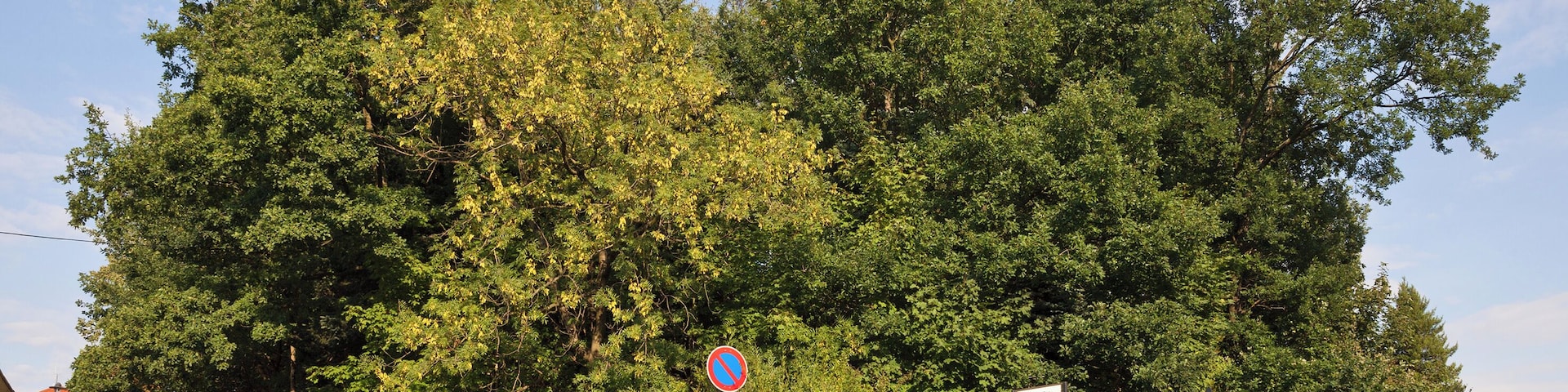 Freiberg, Saxony, MaĂschacht (former mine, slag heap)