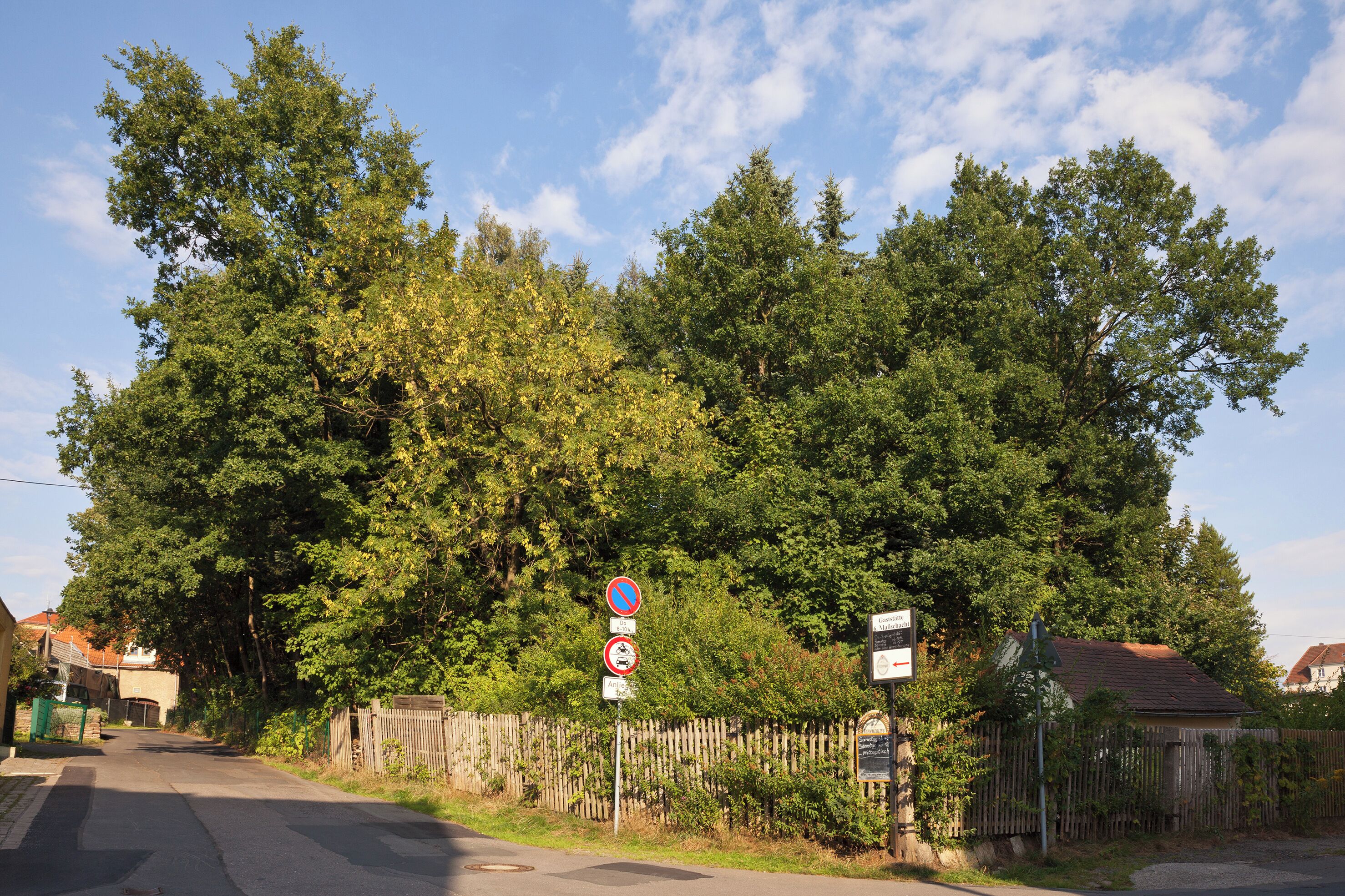 A residential street lined with a wooden fence and dense trees.