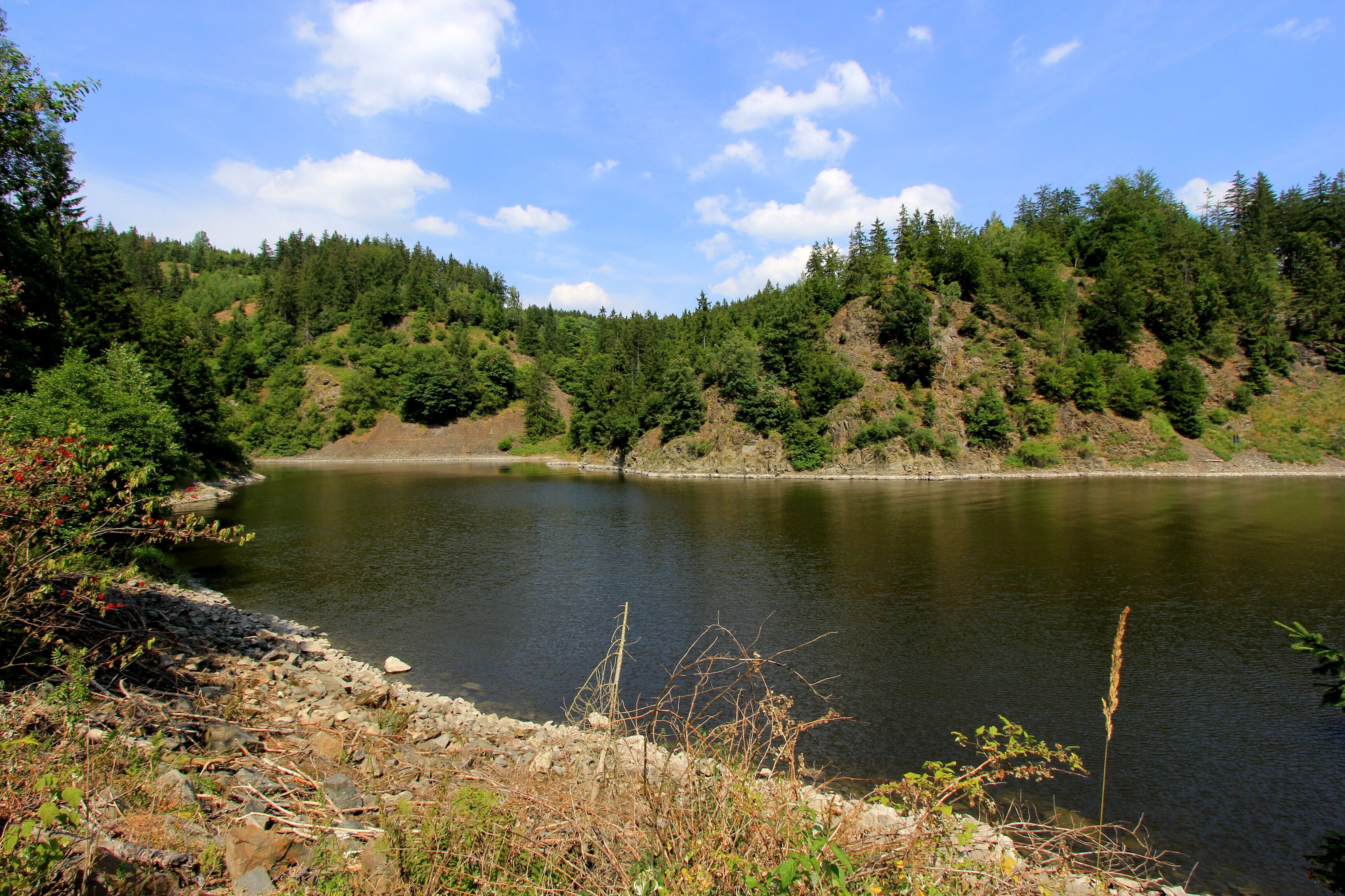 A calm lake surrounded by dense forest and rocky terrain.