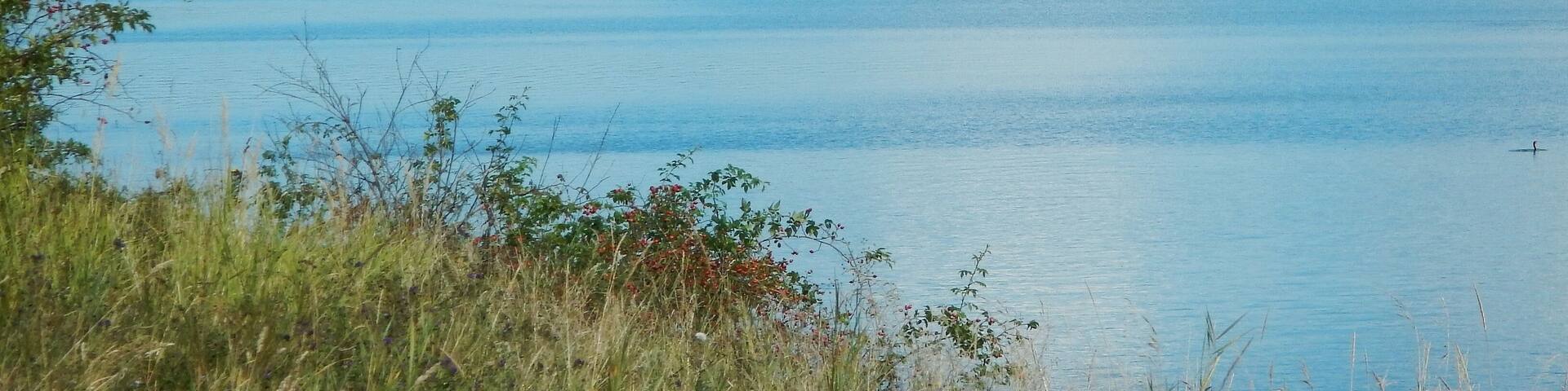 Naturschutzgebiet Dummersdorfer Ufer mit Trave