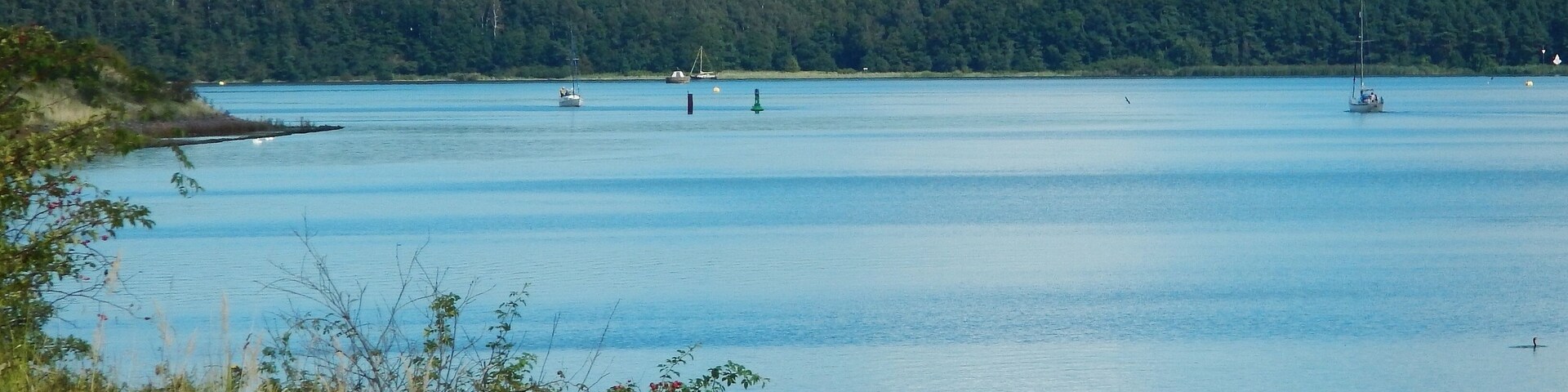 Naturschutzgebiet Dummersdorfer Ufer mit Trave