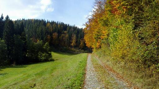 Röthengrund Oktober 2007