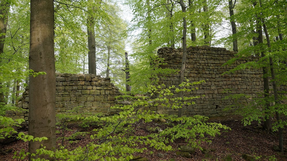 Eine verfallene Steinruine, umgeben von dichtem Wald.