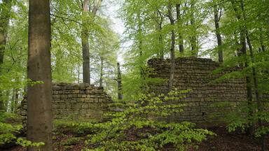 Reste der westlichen Wehrmauer der Burgruine Rabenswalde