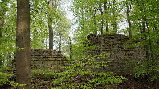 Reste der westlichen Wehrmauer der Burgruine Rabenswalde