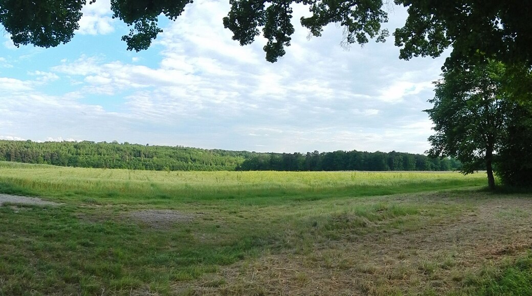 Landschaft zwischen Sindelfingen-Maichingen, Magstadt und Weil der Stadt-Schafhausen, Blick Richtung Südosten