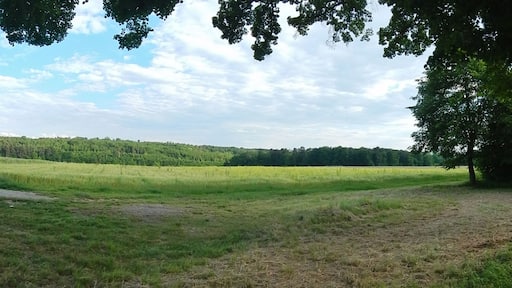 Landschaft zwischen Sindelfingen-Maichingen, Magstadt und Weil der Stadt-Schafhausen, Blick Richtung Südosten