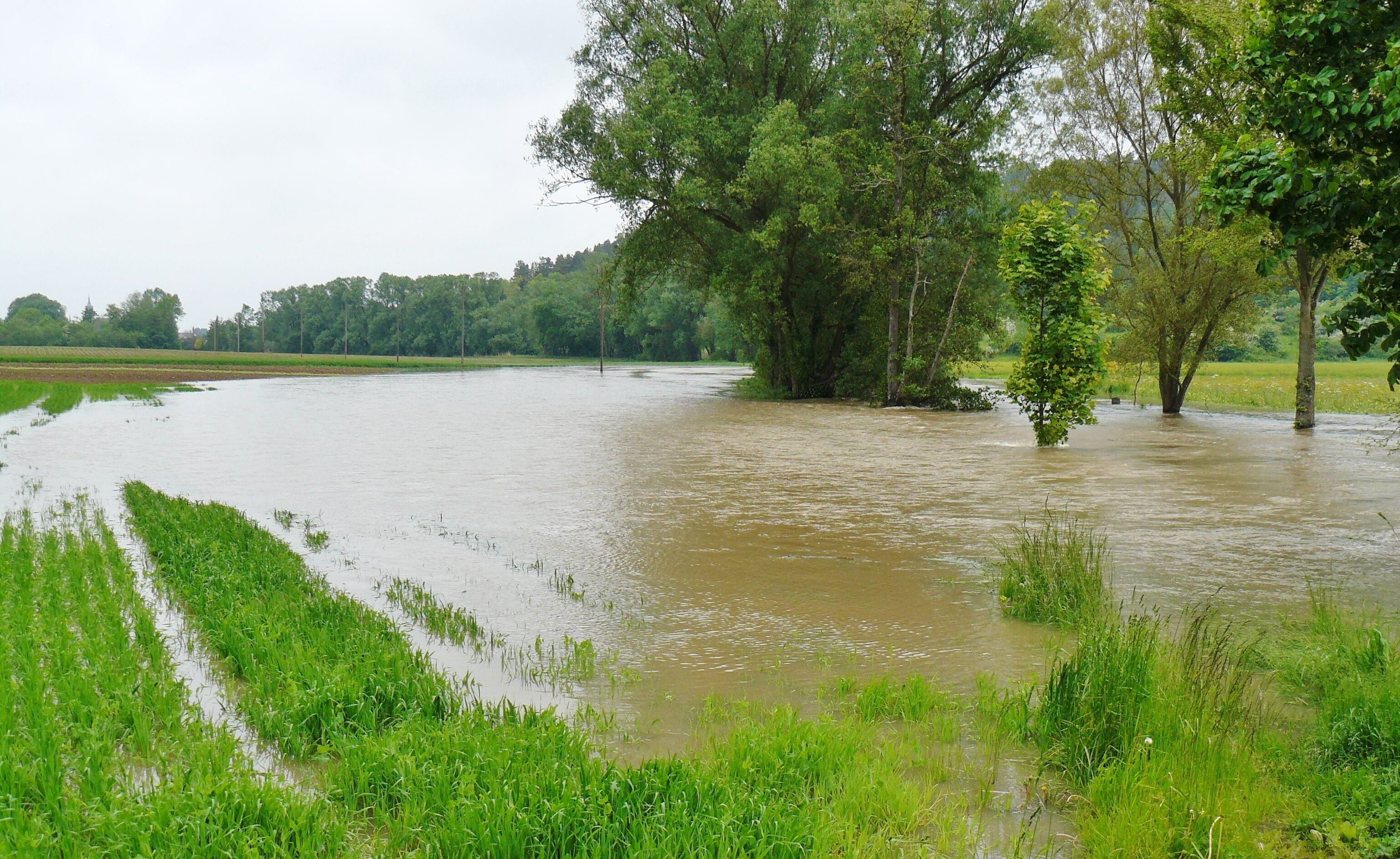 Hochwasser (Würm) am 1. Juni 2013, Sicht Richtung Maisenbachweiher