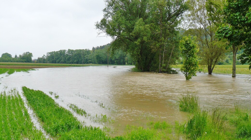 Hochwasser (Würm) am 1. Juni 2013, Sicht Richtung Maisenbachweiher