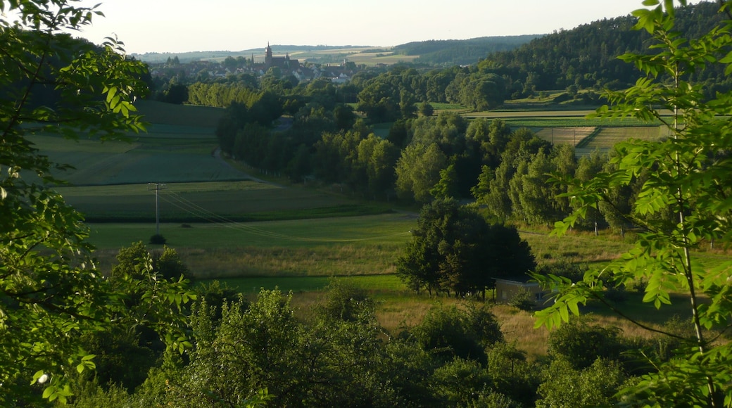 Würmtal mit Blick Richtung Weil der Stadt