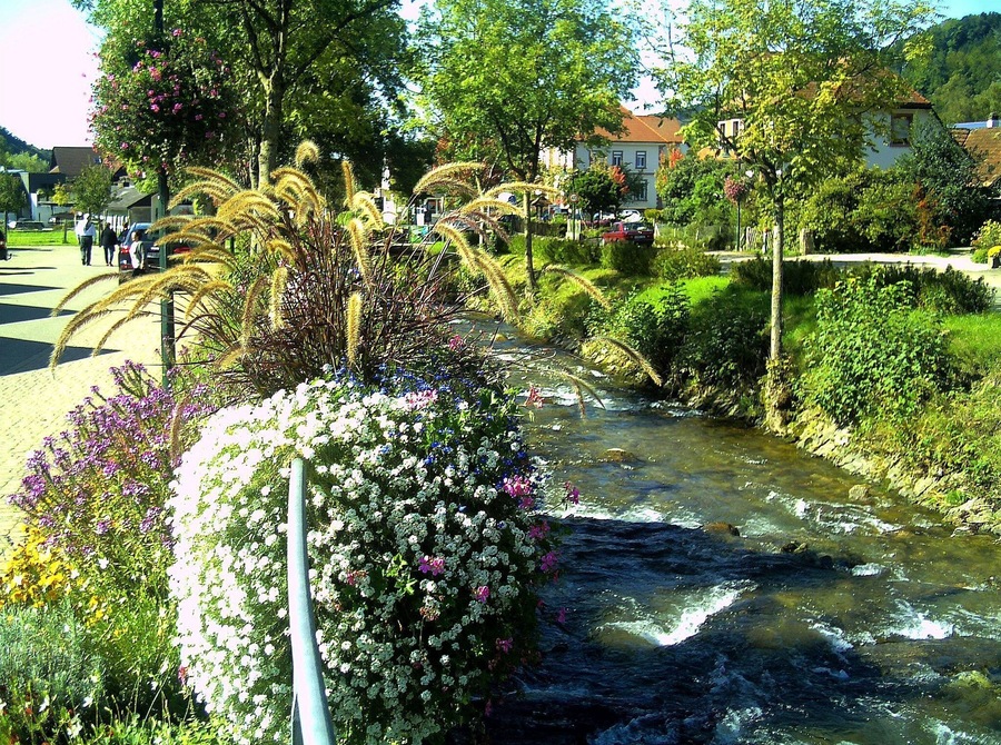 Un riu serpegen per un jardí ple de plantes i arbres en flor.