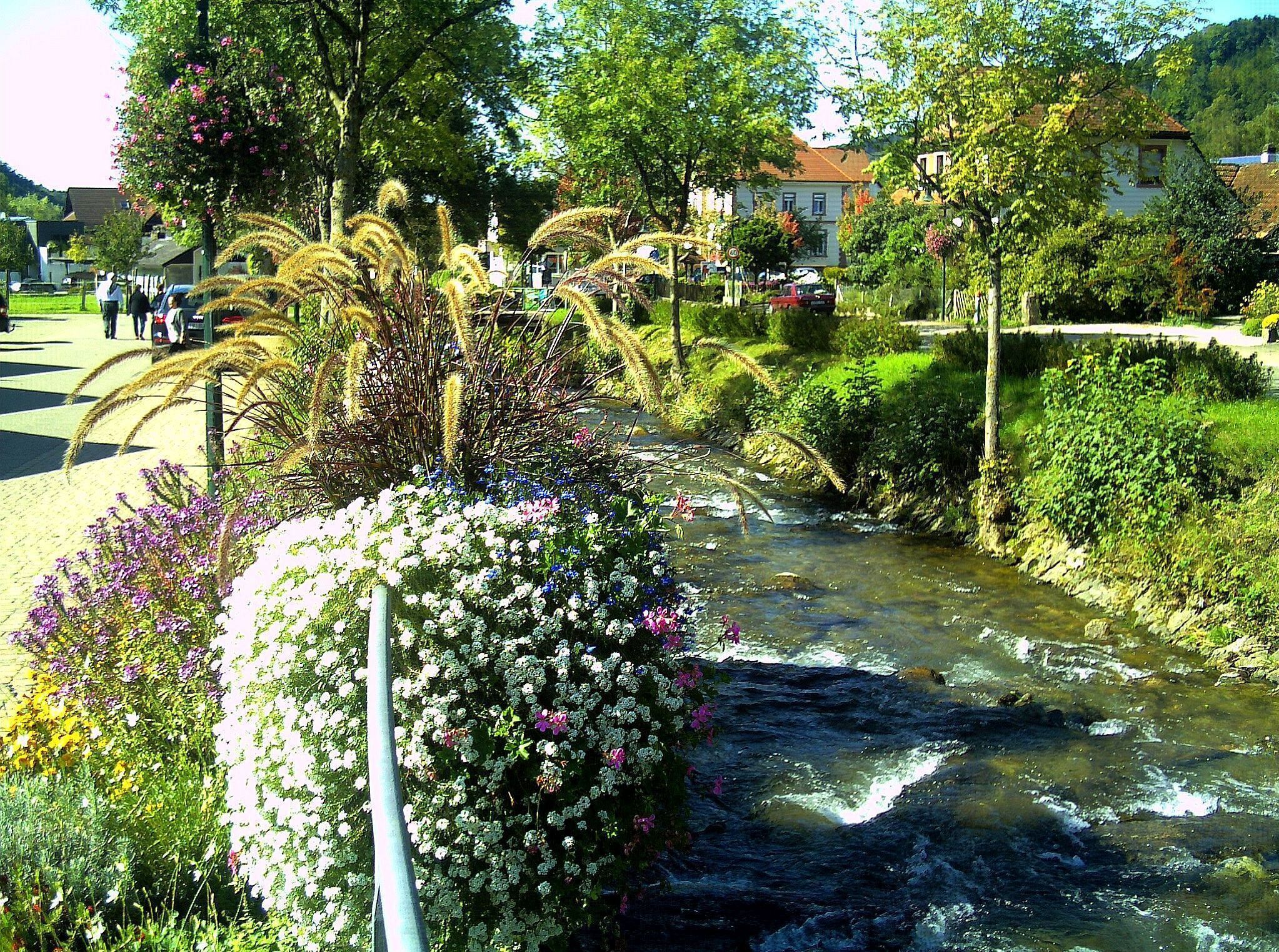 A stream flowing through a garden with flowering plants and trees.