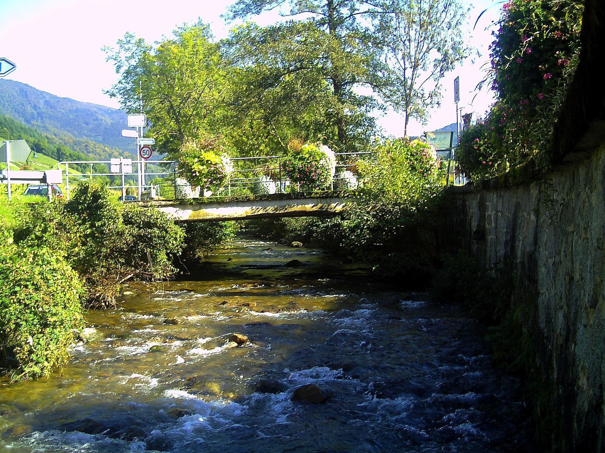 September Glotter Creek