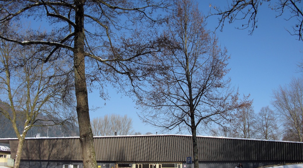 Freibad Waldkirch-Kollnau im Schnee