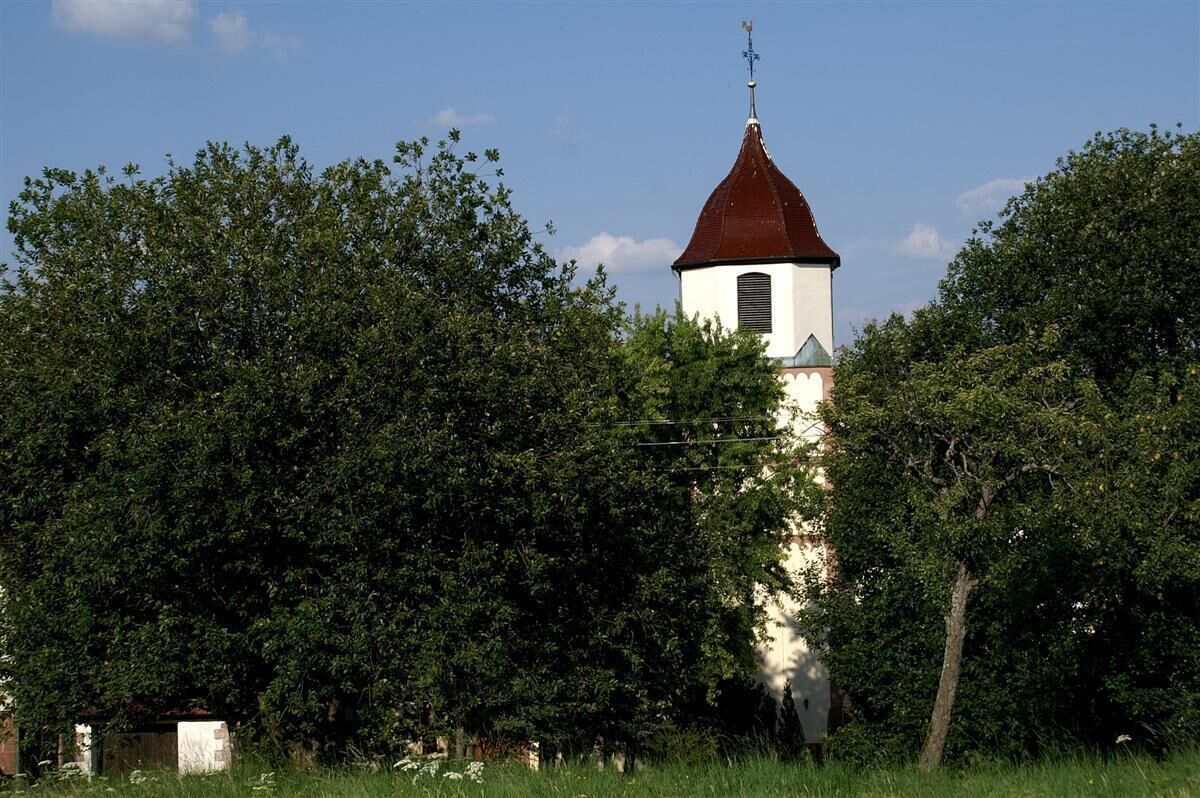 A church with a red roof and white walls, surrounded by dense green trees.