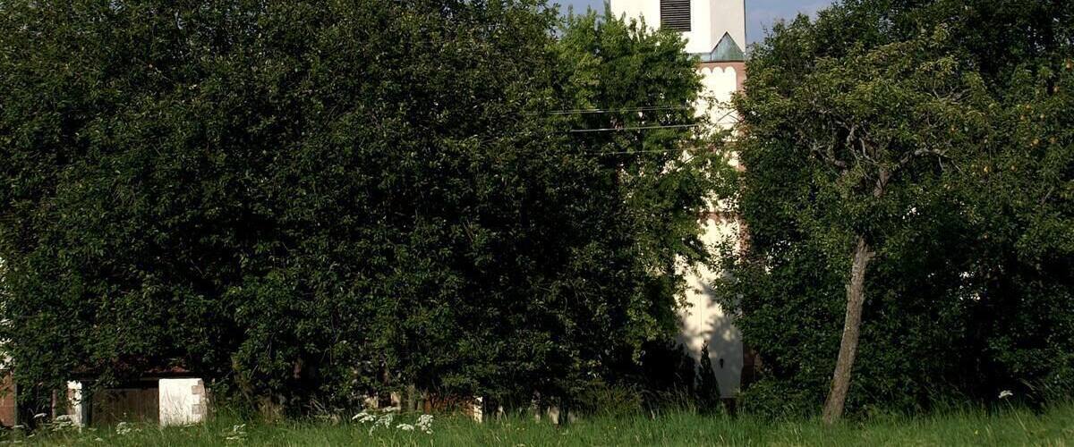 A church with a red roof and white walls, surrounded by dense green trees.