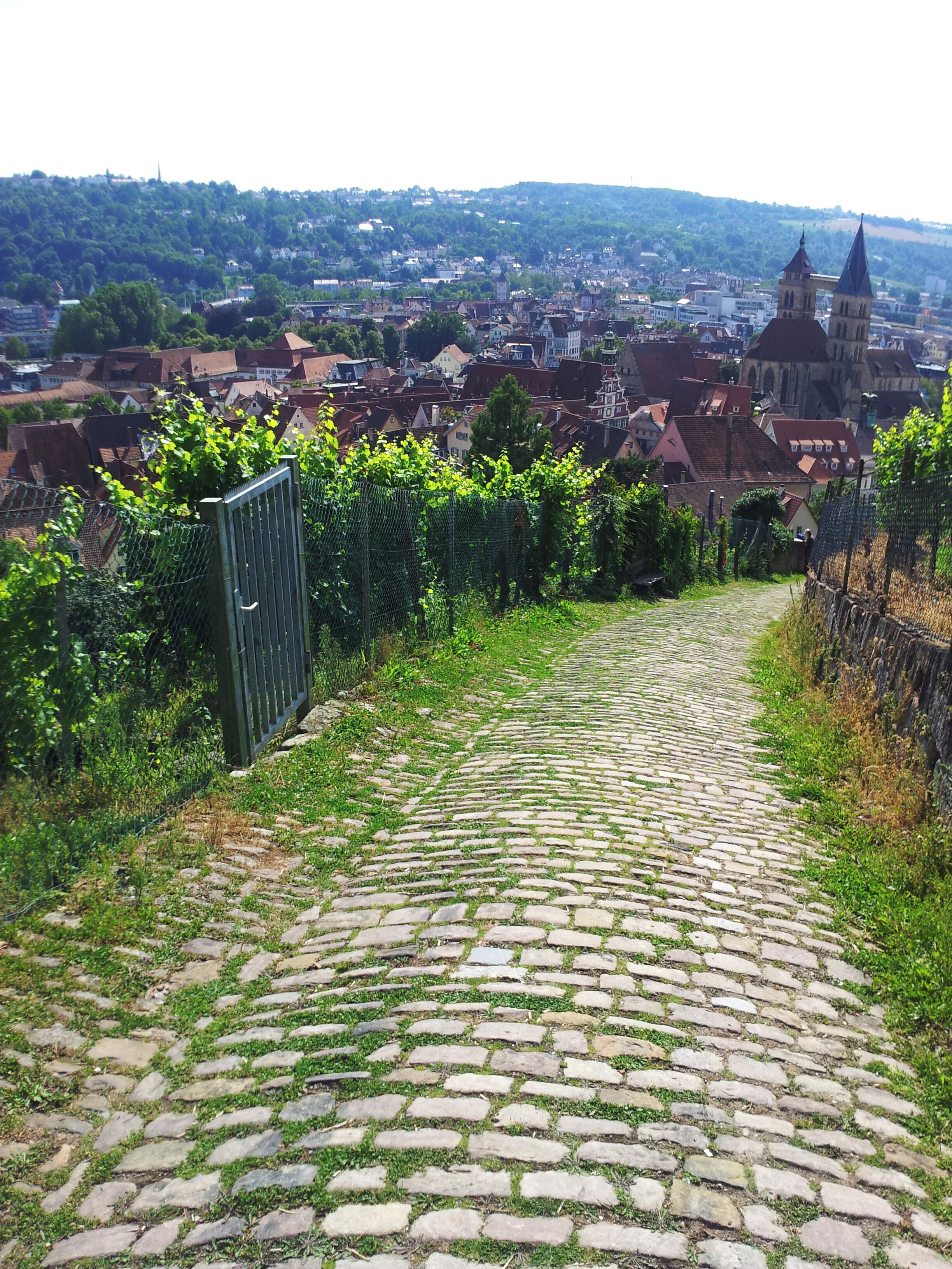 A cobblestone path leading to a town with historic buildings and a church tower.