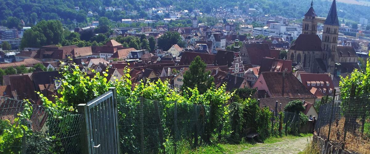 A cobblestone path leading to a town with historic buildings and a church tower.