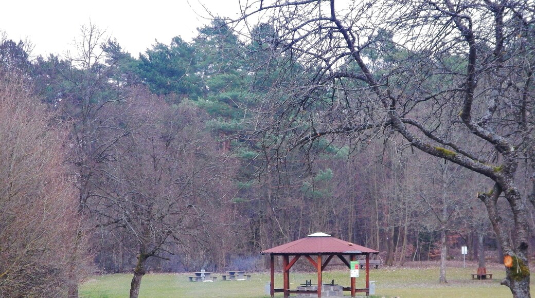 Grillplatz bei Weil der Stadt