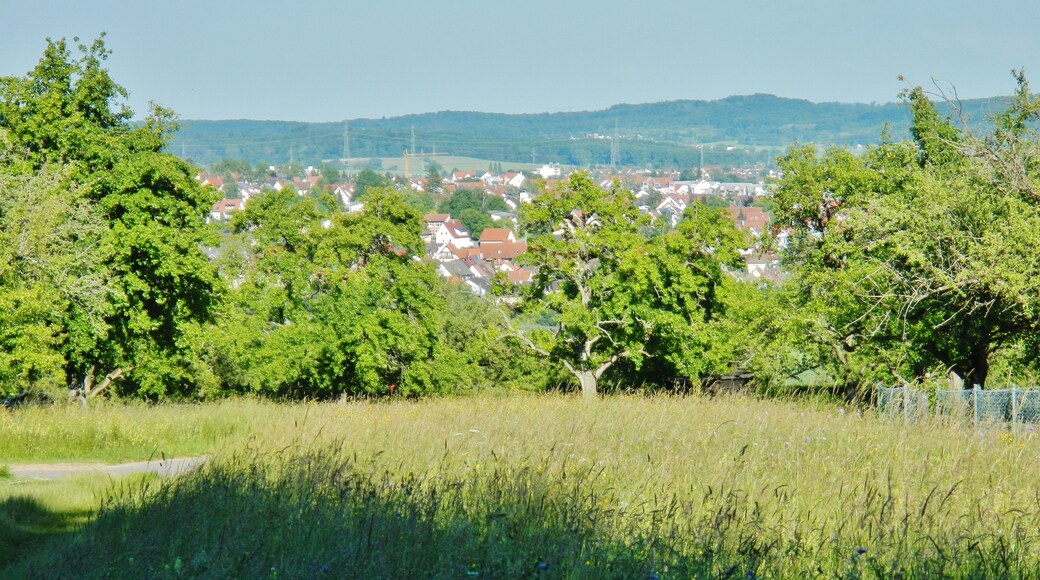 Blick nach Renningen