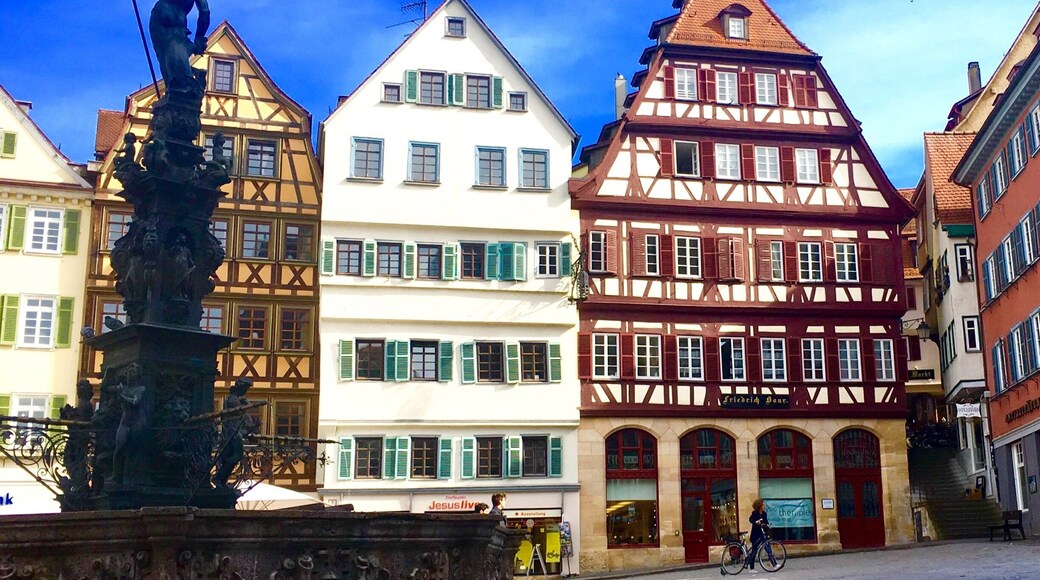 TĂŒbingen's Market Place with Neptune's Fountain