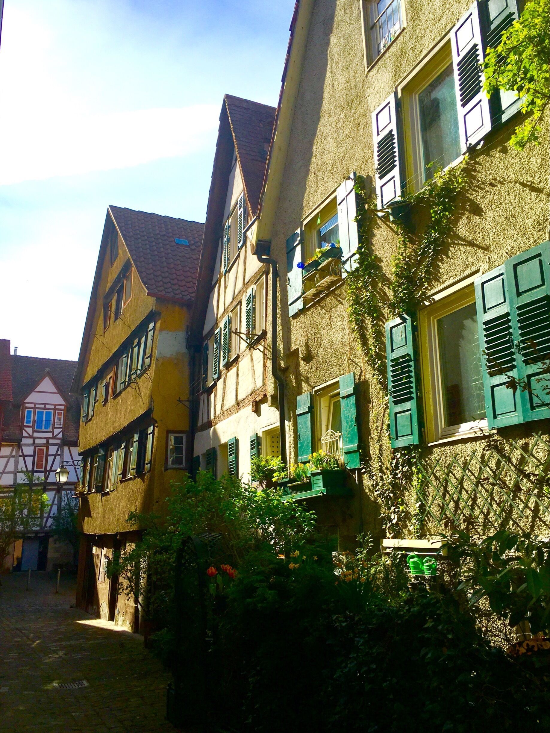 A narrow cobblestone street lined with traditional half-timbered houses with green shutters.