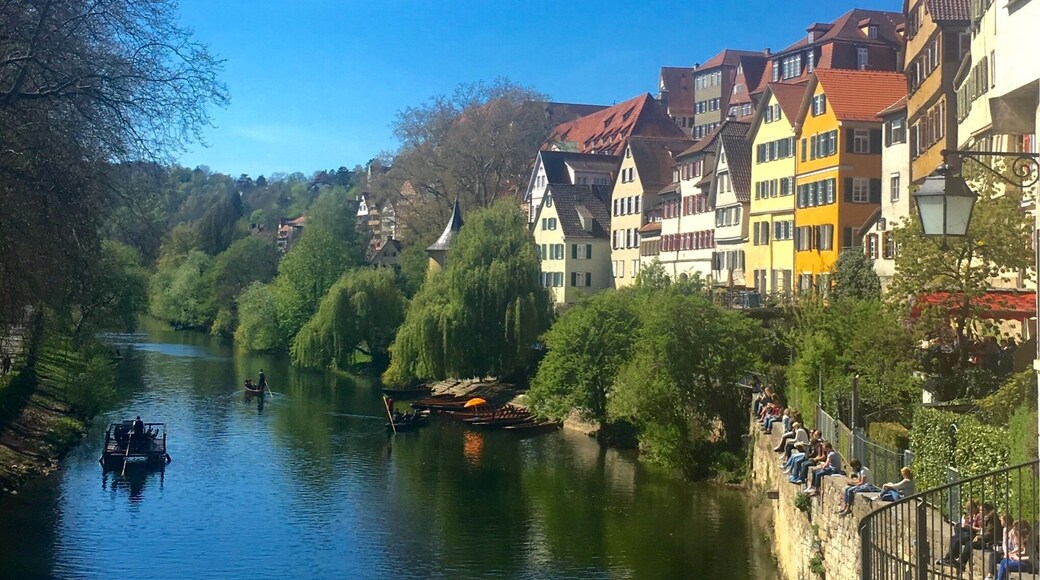 Arrondissement de TĂŒbingen