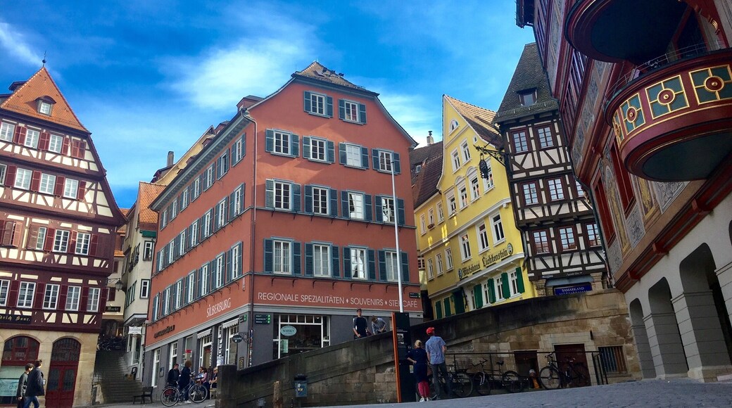 View while having a cup of coffee at the Market Place in front of the old City Hall, TĂŒbingen âïž