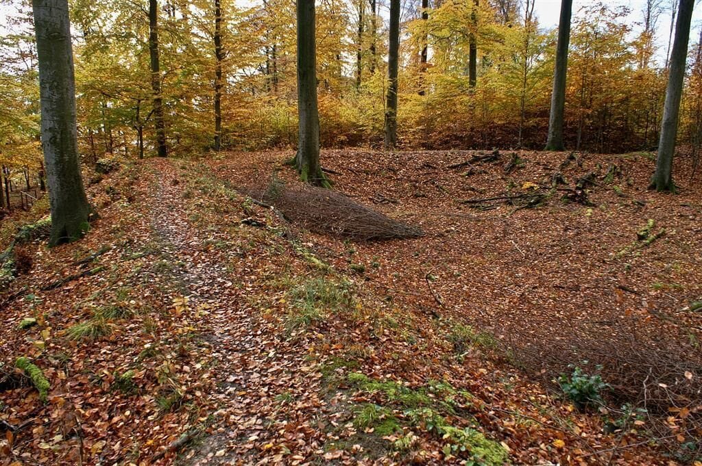 Ötisheim Schönenberg Sternenschanze