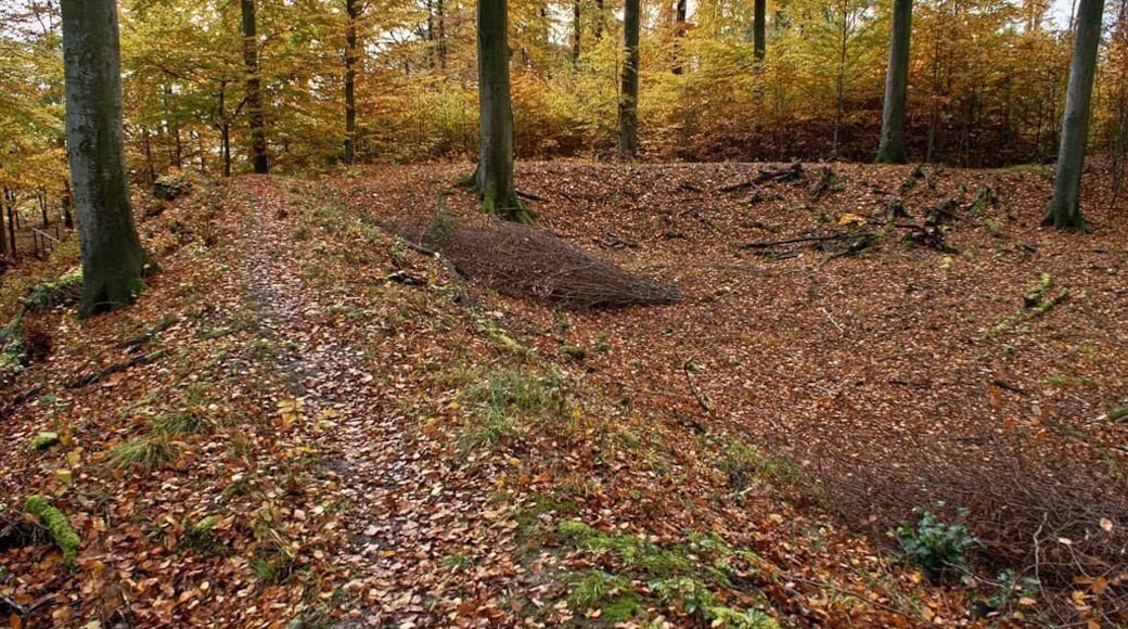Ötisheim Schönenberg Sternenschanze