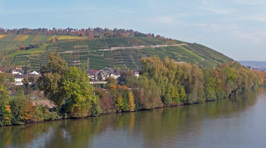 Der Neckar bei Esslingen