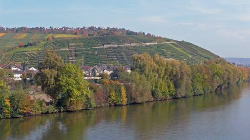 Der Neckar bei Esslingen