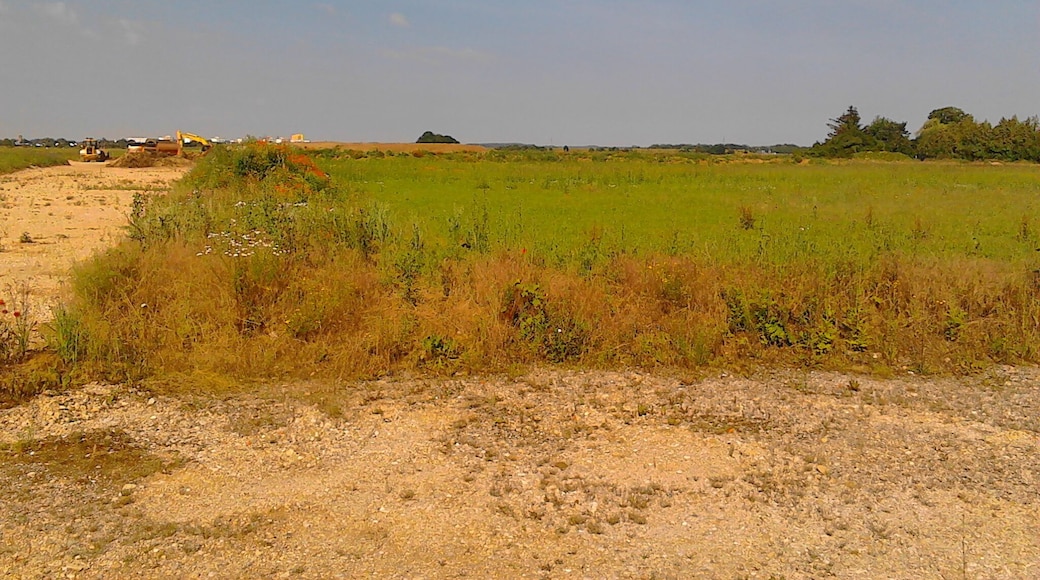 Foto aus dem Baugebiet des neuen Münchner Stadtteils Freiham-Nord zum Zeitpunkt der Erschließung im Juni 2015 vor dem Beginn der eigentllichen Bauarbeiten (bis auf archäologische Ausgrabungen).