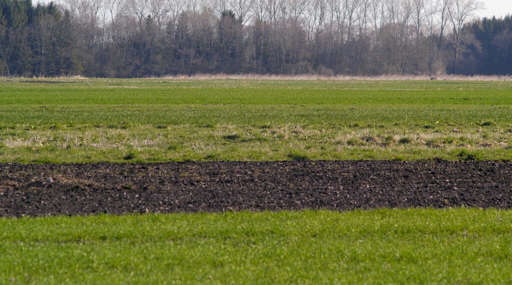 Aubing-Lochhausen-Langwied, Munich, Germany