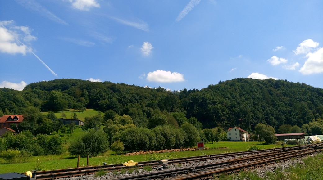 Die Berge Steinküppel und Gretenberg bei Niedersteinbach (im Vordergrund die Gleise der Kahlgrundbahn)
