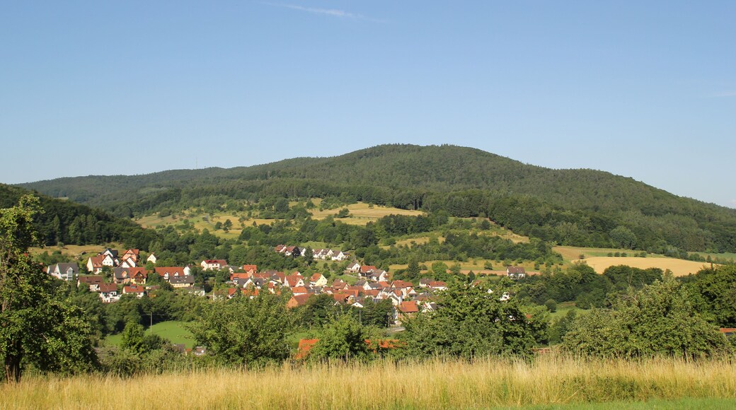 Die Hohe Mark am Hahnenkammhöhenzug, mit Giftigem Berg rechts.