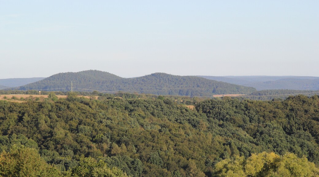 Der Rottenberg vom Herrenberg bei Niedersteinbach aus gesehen